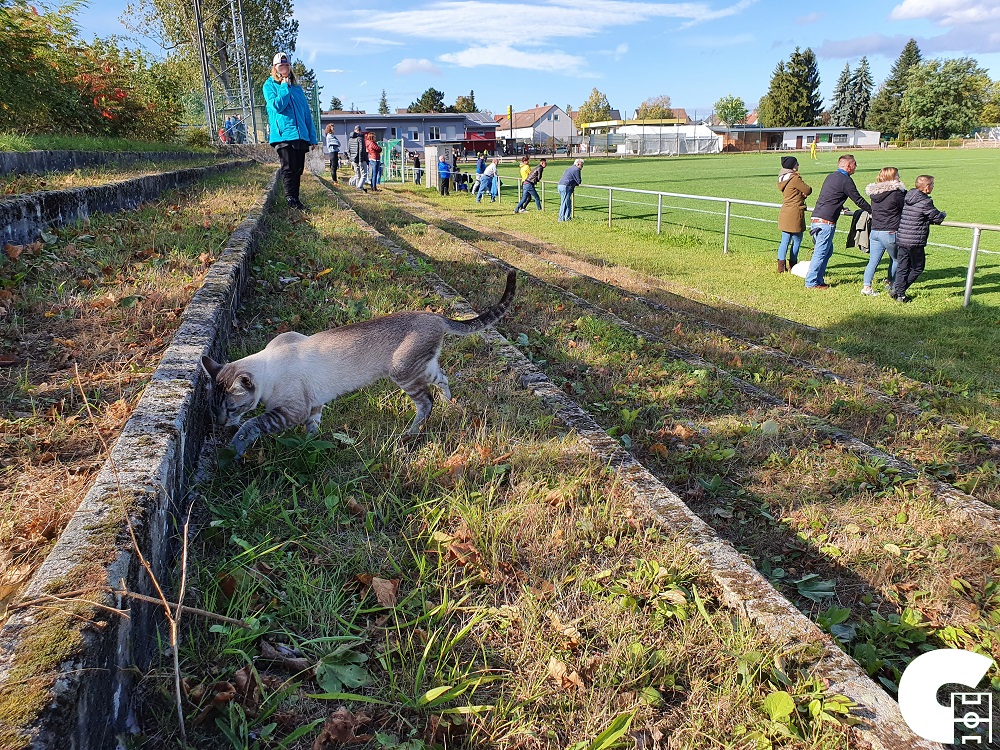 Gruppenliga: SG Nieder-Roden – FSV Bad Orb – Grenzenlos Groundhopping